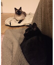 ママhandmade | スカート