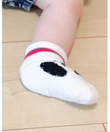 Birthday | ソックス/靴下