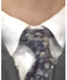 Engineered Garments | ネクタイ