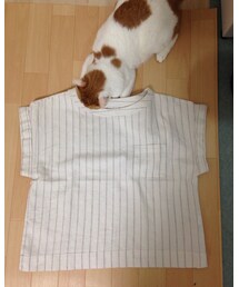 GU | リネンtブラウス(シャツ/ブラウス)