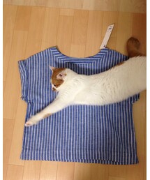 GU | リネンブレンドTブラウス(シャツ/ブラウス)