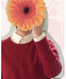 無印良品 | シャツ/ブラウス