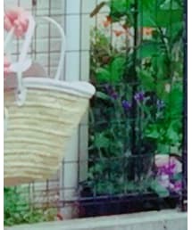 Fatima morocco | かごバッグ