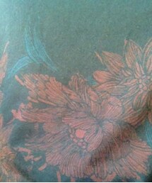 ZARA | 花柄(Tシャツ/カットソー)