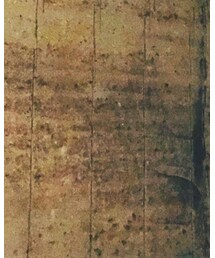 TOMORROWLAND  | ジャケット/アウター