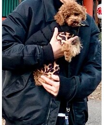 UNIQLO | ブルゾン