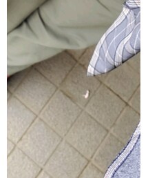 しまむら | パンツ