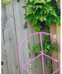 NASTY GAL | タンクトップ