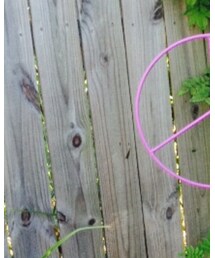 hot kiss | スーツベスト