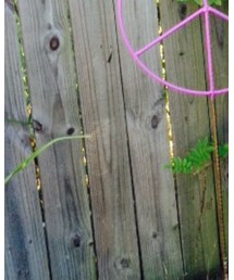 VERY J | ショーツ