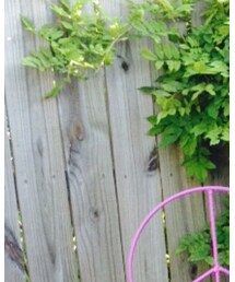 Handmade | ネックレス