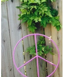 hotkiss | スーツベスト