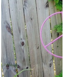 NASTY GAL | タンクトップ