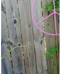 VERY J | ショーツ