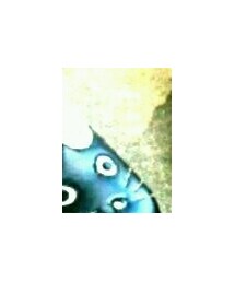 catshoes | シューズ