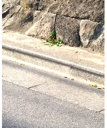 BEAMS | レインシューズ