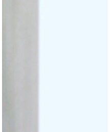 Daniel Wellington | アナログ腕時計