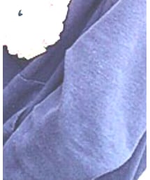 Champion | パーカー