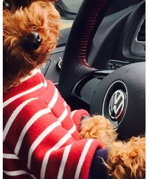 土豆桑 | その他