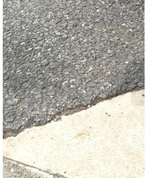 POLO RALPH LAUREN | スニーカー