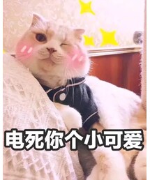 biu~ | その他