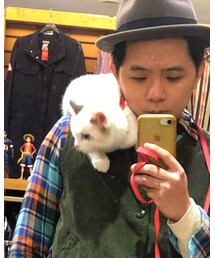 cat | その他