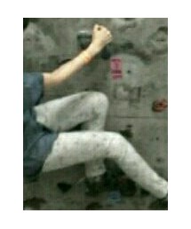 haco. | レギンス/スパッツ