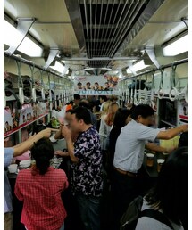 ③中之島ホーム酒場 | その他