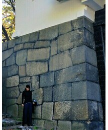 石垣がでかい | その他