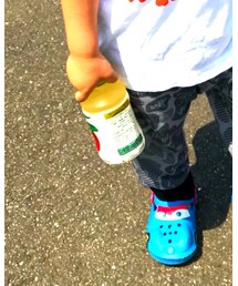 小岩井純水りんご | その他