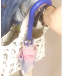 Rodeo Crowns | その他