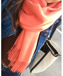 TOMORROWLAND  | マフラー