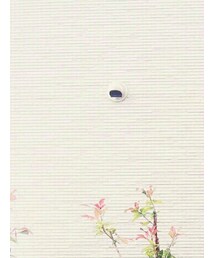 Aquascutum | ステンカラーコート