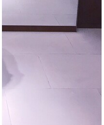 FERRAGAMO | ネクタイピン