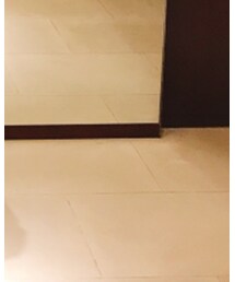 Loro Piana | テーラードジャケット