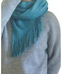 イーザッカマニア | マフラー