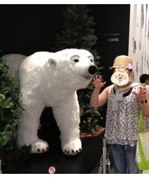 Rodeo Crowns | ドラえもん柄シフォンチュニック(その他トップス)