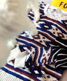 FOREVER 21 | ニット/セーター