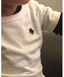 POLO | Tシャツ/カットソー