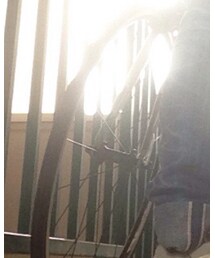 Bianchi | トラベルグッズ