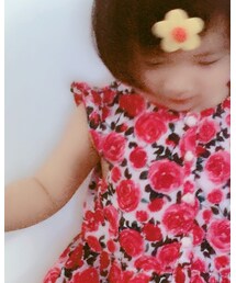 ▽・x・▽ | ワンピース