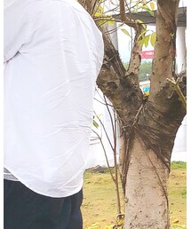 UNIQLO | シャツ/ブラウス