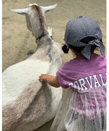 触れた💓 | その他