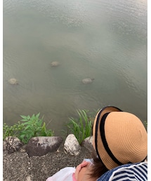 🐢さんとお話✨ | フィギュア