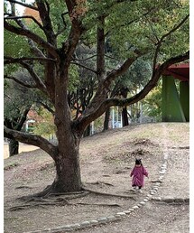 好きな📷✨ | その他