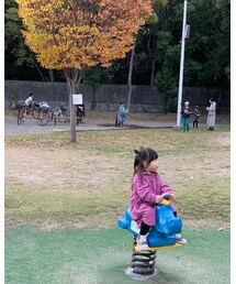 🍁🍁🍁 | その他雑貨