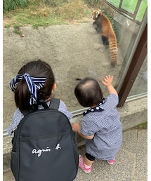 レッサーパンダに夢中💗 | その他