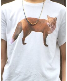Maison Kitsune | Tシャツ/カットソー