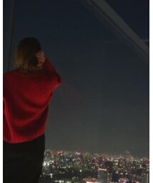 ZARA | ニット/セーター