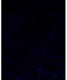 初投稿 | トップス